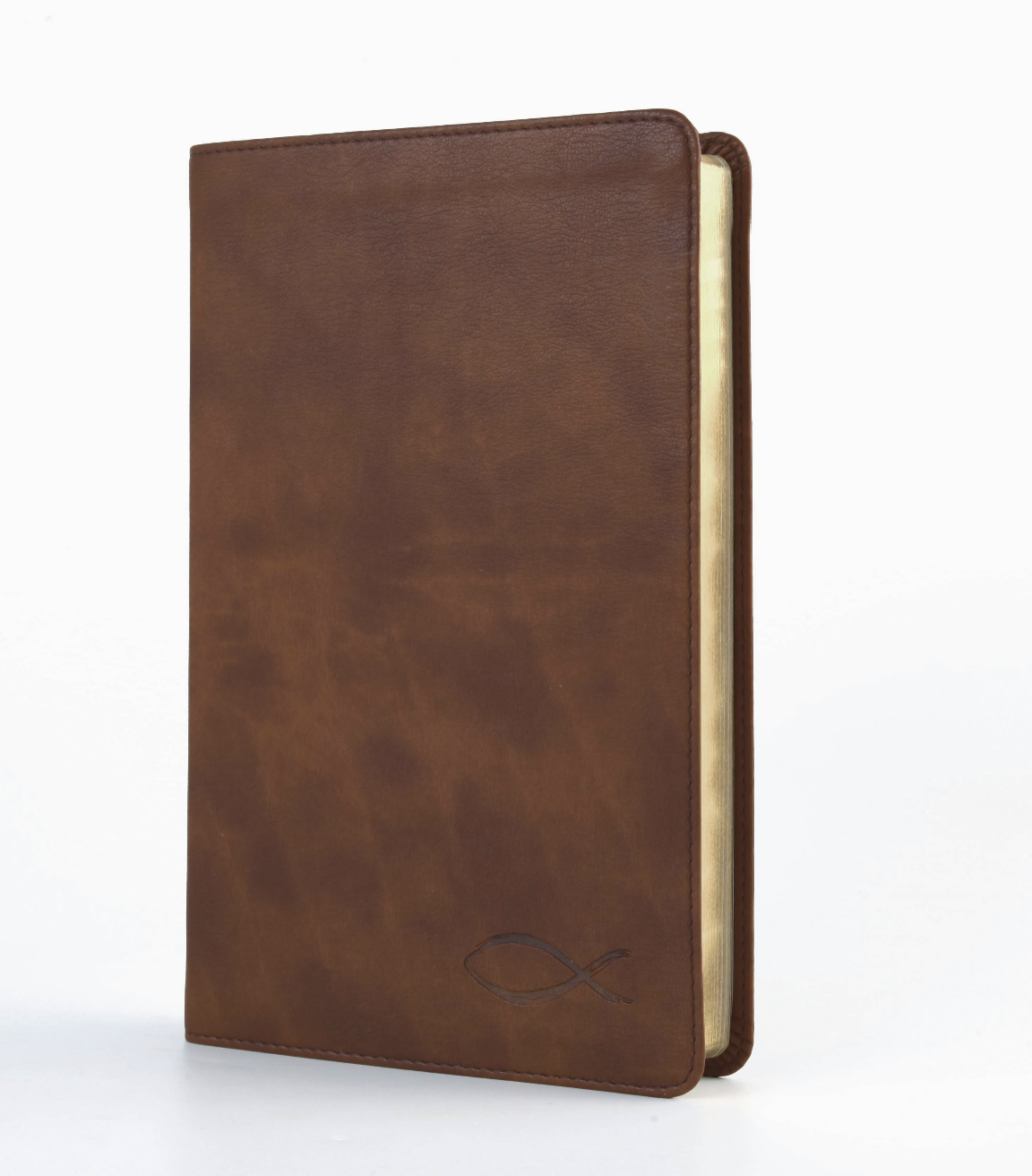 The KJV Study Bible [Chesnut Brown Fish]