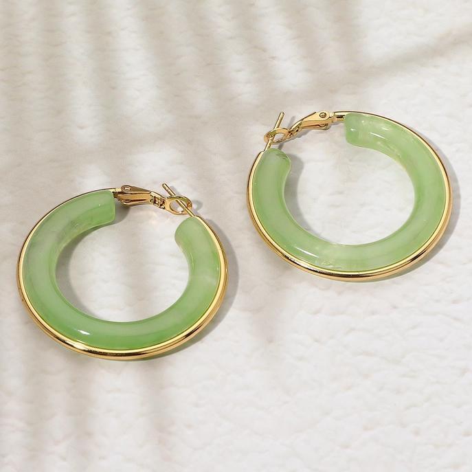 Stainless Steel Gold Trimmed Chunky Resin Hoop Earrings